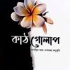 কাঠগোলাপ